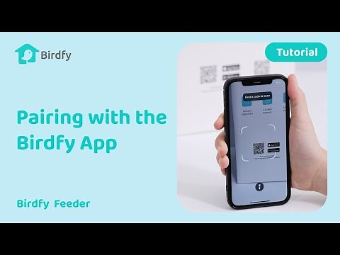 How to Pair Your Birdfy Feeder with the Birdfy App - Birdfy Feeder Tutorial