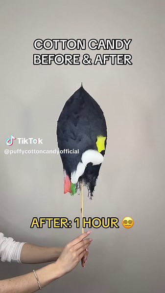 SOOT SPRITE MELTS FAST! This cotton candy poof went from Spirited Away to Spoiled Awful — EEK! #studioghibli #spiritedaway #cottoncandy #art #beforeandafter #timelapse #totoro