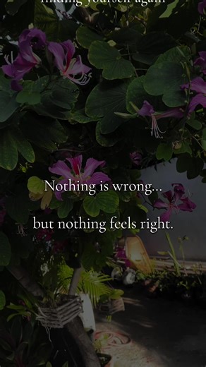 Nothing is wrong with you. You’re just in transition. Creative Compass was made for people who feel quietly stuck and want to reconnect with themselves without fixing their whole life. #journaling #lifetransition #selfreflection #burnoutrecovery #creativehealing