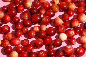 7  benefits of cranberry juice, according to registered dietitians