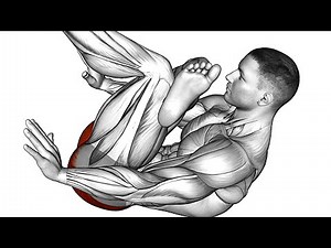 Stretches for Muscles in The Legs