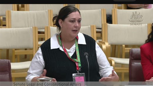 Robodebt whistleblower speaks out: Services Australia ostracised and targeted me after the royal commission