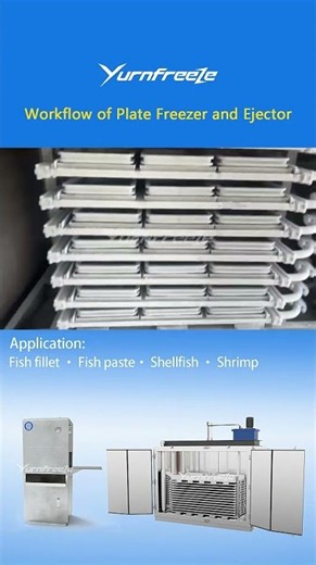 ❄️ Plate Freezer Working Process | From Freezing to Demolding