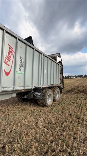 36K views · 1.2K reactions | At least one time a year..  By @_gr_ggw_ #claas #fliegl #gigant #spreading #manure #tractor #tractorfails #farmlife #agriculture | Tractor Fails | Facebook