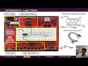 Breadboard & Oscilloscope Basics | Digital Electronics Lab Introduction