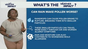Here's how rain can give pollen levels a boost