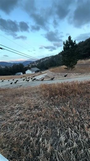 Exploring the Colorful Mountains in Colorado