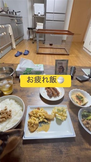 チキン南蛮食べたくて🍗むね肉あっさり！豚肉小松菜ニンニク醤油炒め、手羽中甘辛焼き、冷奴、ポテトサラダ、味噌汁