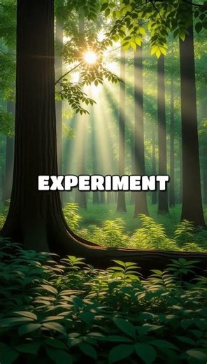 Join us on a philosophical journey to explore the elusive concept of truth