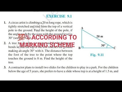 Exercise 9.1 class 10 maths