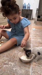 800K views · 31K reactions | Guluna bohat pyar krti ha es se #guluna | Guluna | Facebook