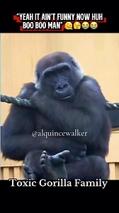 Not boo boo man 🫠🫣😭😭 #voiceover #funny #alquincewalker #toxicgorillafamily #CapCut | Alquince So'stupid Walker