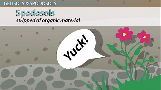 Infertile Soil Orders in the United States