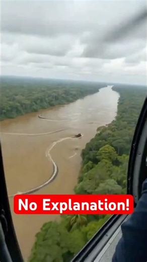 Animal Moments We Still Can’t Explain