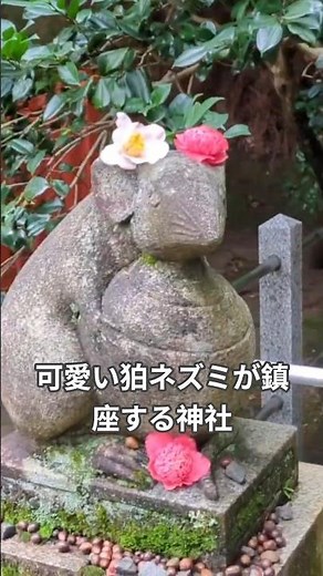 【哲学の道】狛ネズミのいる神社#kyoto #京都 #旅行 #哲学の道#寺社仏閣