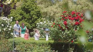 Have you been to The Gardens this summer? There is something for everyone! For more information: http://www.butchartgardens.com/activities?fullsite=true | The Butchart Gardens