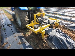 5 Steps to Making Lifting Plastic Mulch Easier