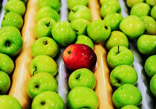 Sorting Machine | MINDSTORMS EV3 Lesson Plan | LEGO® Education