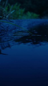 Bu kadar net... Ben her zaman cok sevmenin yeteceğini düşünürdüm. Size cok sevmenin yetmediği bir yerden yaziyorum şimdi...✍️ #Suskun | Vuslat