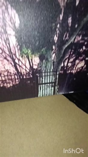 trabajo personalizado enmarcado de canvas, cel, 60213249, 🇨🇷