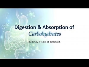 Carbohydrate Digestion & Absorption | Biochemistry (GIT)