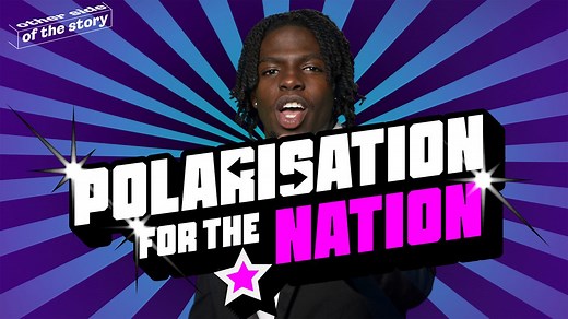 What is polarisation? - BBC Bitesize