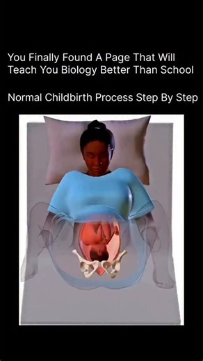 HEALTH | MEDICAL | BIOLOGY on Instagram: "Normal birth (vaginal delivery) happens in clear steps: first, labor begins when regular contractions start and the cervix slowly opens (dilates) to about 10 cm; next, during the active labor stage, contractions become stronger and closer together, helping the baby move down through the birth canal; then comes the pushing stage, where the mother pushes with contractions and the baby’s head appears, followed by the rest of the body; after the baby is born