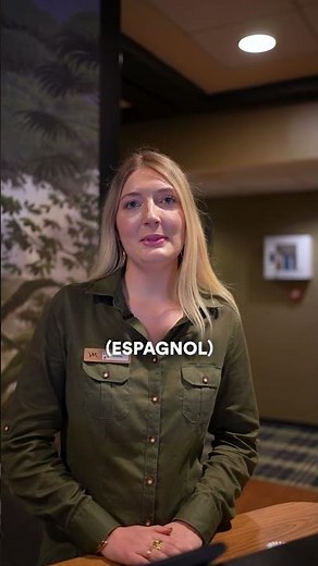 How to become a hotel receptionist: studies and skills required