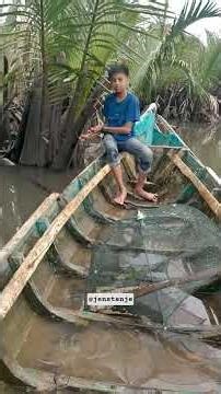 Shrimp Trap Installation #shrimp