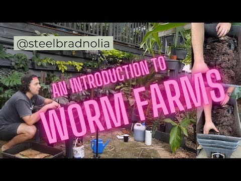 An Introduction to Worm Farms