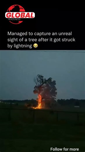 Global Headlines | Conflict • Trends • Updates on Instagram: "This is what lightning does in a split second. A tree moments after being struck by lightning. The force travels instantly through the trunk, vaporizing moisture inside and tearing the wood apart from within. What looks unreal is pure physics — raw energy released in milliseconds. Nature doesn’t warn. It just happens. --- tree struck by lightning lightning strike tree what happens when lightning hits a tree lightning damage explained 