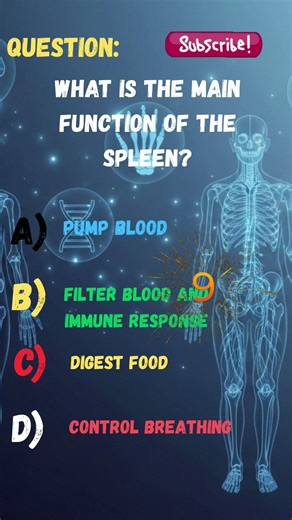 What Is the Main Function of the Spleen? 🛡️ | Human Anatomy Quiz #shortsvideo