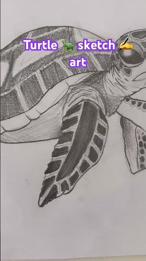 Turtle sketch art #turtle #sketch #turtleart #kidscreativity #kidsart #kidsactivities #kidslearning