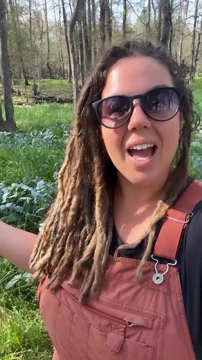 There is a lot to unpack on this topic, far more than any 30 second reel could ever cover. Reposted from @theexecutiveinoveralls We’d suggest following our farm and watching our “stories” and deep diving into our other videos to see how we do things. What works for us won’t work for everyone, each farm is unique. We’d also recommend doing other research on the topic of regenerative farming. But by sectioning off our forest into grids and allowing time off for areas to rest, each time, the forest