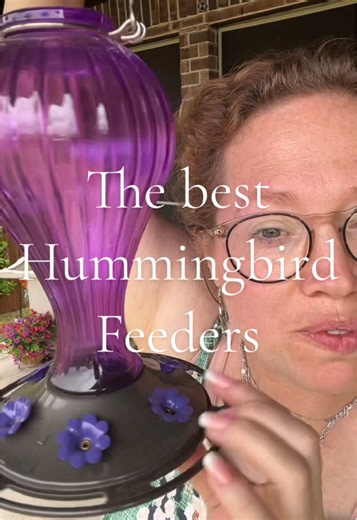 Protect Hummingbirds with The Best Feeder | Ants, Bees, and Wasps Deterrent