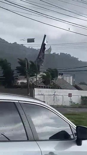 wow Look at Zinc flying