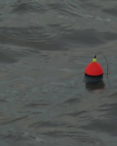 1.5K views · 51 reactions | A brand new series with Ben Humber that explains everything you need to know to start deadbaiting for pike. In Episode one, Ben explains some of the basic tackle you need and reveals some of his best baits to get you started on this brilliant method of catching pike. Watch it exclusively on Fight Club here: https://www.foxrage.com/home/articles/deadbaiting-basics-episode-1-tackle-bait/ #foxrage #pikefishing #deadbaiting | Fox Rage | Facebook