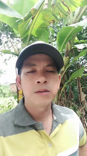 #ghép nối với @🇻🇳Cao Nguyên 93 (highland)