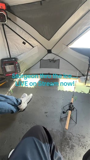 LIVE Sturgeon Ice Fishing #strikemaster #icefishing #fishing #minnesota #sturgeon