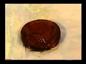 Composite Aircraft Construction Video, DVD