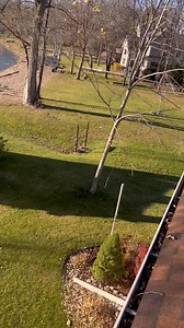 Gotta get those gutters cleaned! With just a fabulous view! No human (me) was hurt in the filming of this video 😜. | JDs Handyman Service