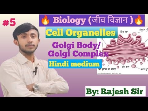 Cell Organelles Part-5 // Cell 🔥 // Golgi Complex // कोशिकांग // #cell // #Biology // #science ।