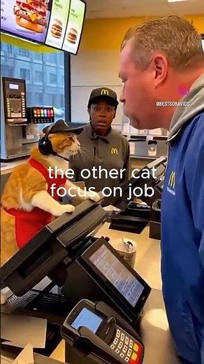 this was the day when the cat did the unspeakable