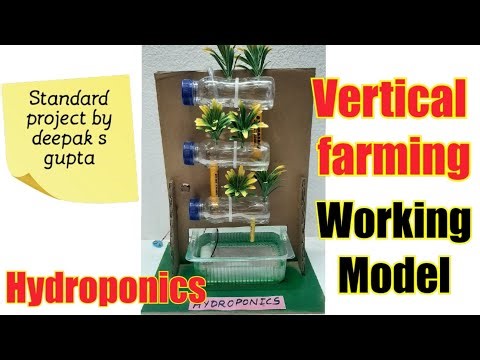 vertical farming hydroponics working model #projectmaker #agricultureandfarming #hydroponics