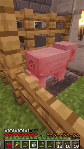 I-am făcut piscină porcului… greșeala vieții mele 🐷💦😂