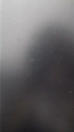 Horrid Henry Has BSOD (Windows 7 Professional)