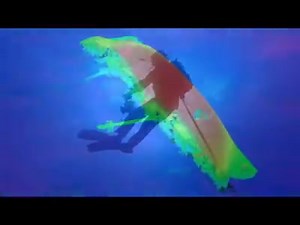 HMS Pandora, RMS Quetta & AHS Centaur are shipwrecks off the coast of Australia. Marine archaeologists take us to these underwater graves & tell the stories of great heroism & tragedy. "Tragedy At Sea" - 3pm this Saturday on One HD | Totally Wild | Facebook