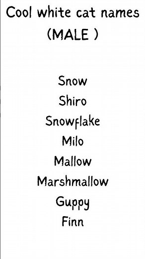 Cool white cat names MALE