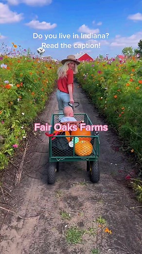 Exploring Indiana: Best Fall Things to Do and See