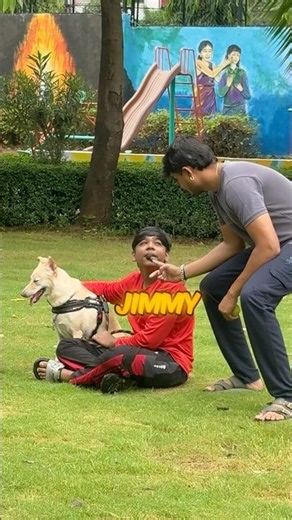 Find the ball, Win ₹5000
